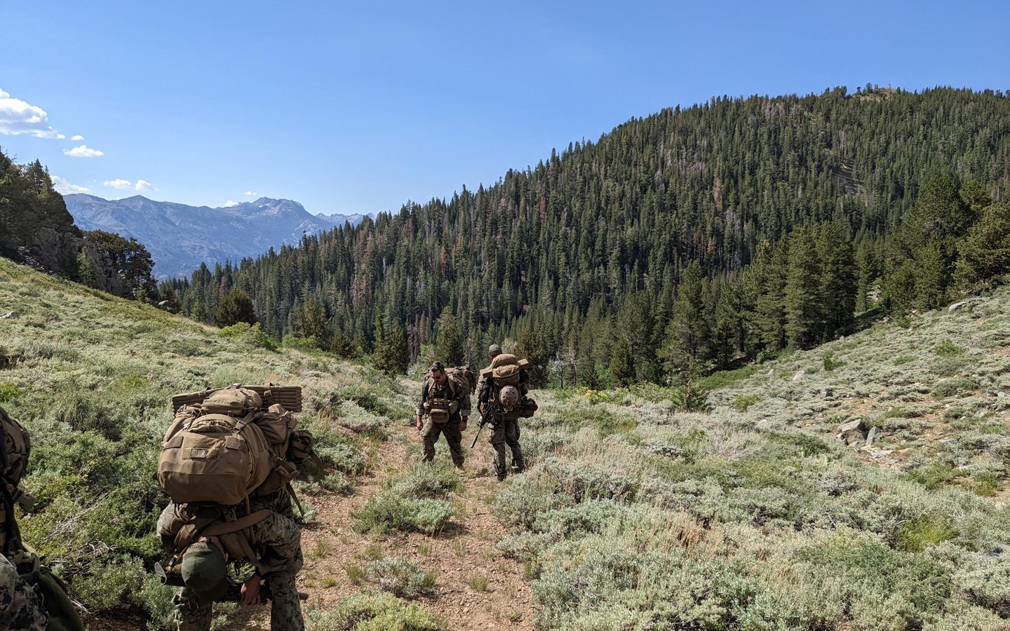 A patrol under heavy packs walking up a mountain valley