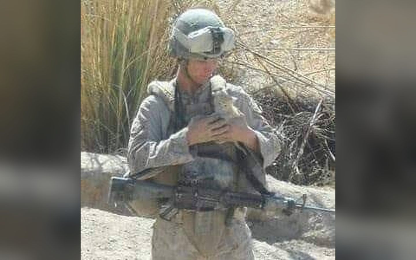 A Marine holding the kitten, rifle slung
